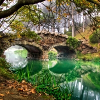 Nature Bridge