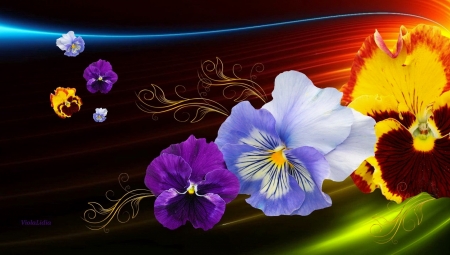 Pansies fantasy - flowers, pretty, colorful, fantasy, beautiful, spring, lovely, pansies