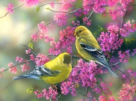 Goldfinches & Redbud - flowers, birds, nature, beloved valentines, paintings, spring, love four seasons, animals