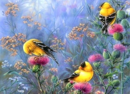 Goldfinches in the Garden