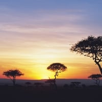 African Sunset