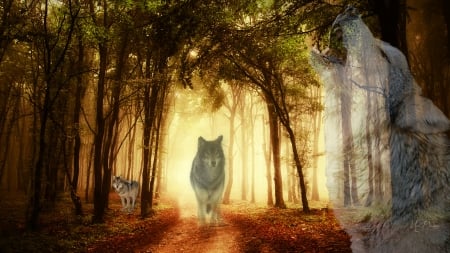 Spirit Wolves - spirits, lobo, collage, trees, light, wolf, wolves, woods, forest