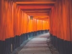 Fushimi Inari Shrine