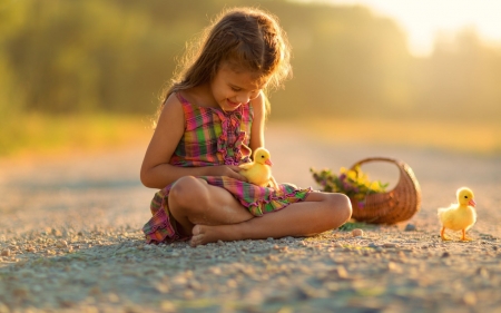 Ducklings - ducklings, girl, baby, chicks, basket, flowers, dress