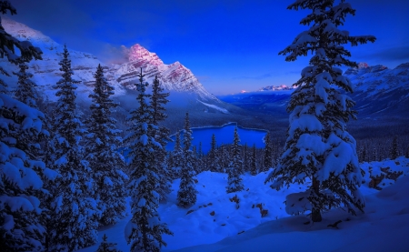 Winter lake view - trees, winter, blue, beautiful, evening, snow, forest, darkness, mountain, view, twilight, cold, frost, lake, dusk, sky