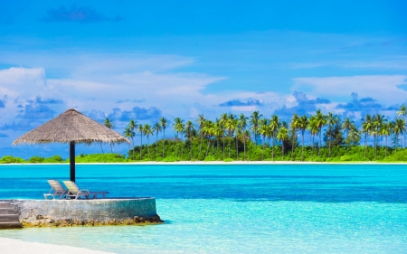 Sun Beds - sky, palm trees, tropics, clouds, sun, sun beds, shore, sea