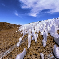 Penitentes