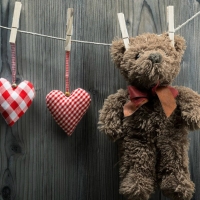 Teddy Love