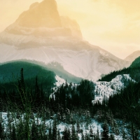 Mountains Highlands Trees