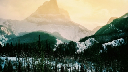 Mountains Highlands Trees