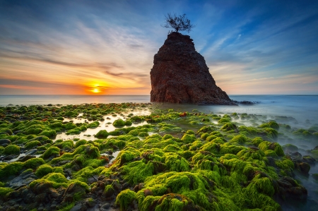 Horizon - clouds, horizon, stone, sunset, wood, goo, sea, sky