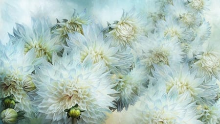 White Dahlias - flowers, Firefox Persona theme, summer, floral, light, dahlias