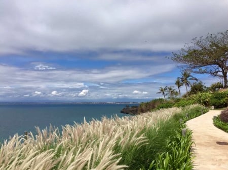 From Bali with love❤ - Bali, sky, Beach, way