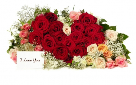 I Love You - flowers, red, roses, bloom