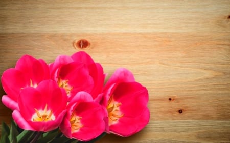 Beautiful Flowers - flowers, petals, bloom, wood