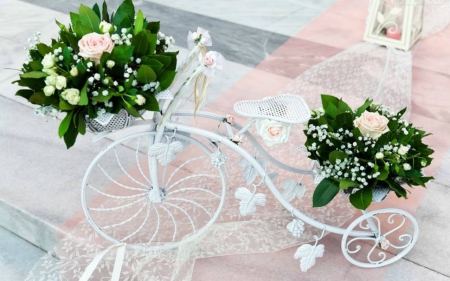 Still Life - flowers, still life, bloom, bike