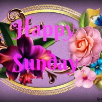 HAPPY SUNDAY