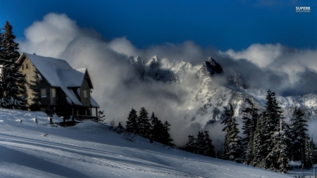 Lakeside Winter Cabin - trees, winter, nature, fog, cabin, snow, lake