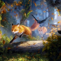 Foxes Running Through The Woods