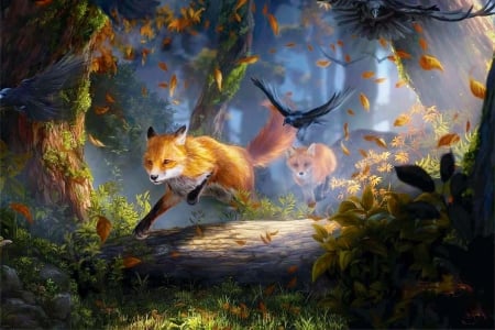 Foxes Running Through The Woods