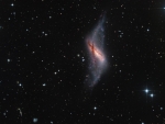 Polar Ring Galaxy NGC 660