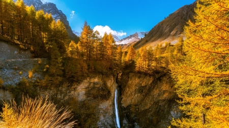 French Alps - nature, trees, mountain, forest, snow, alps, waterfall