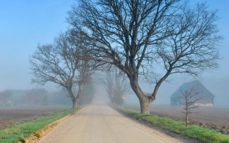 Foggy Road in Latvia