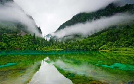 Lake and Green Mountin - nature, lake, trees, forest, reflection, fog, green, mountains