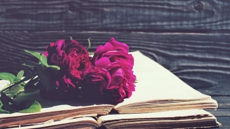 Book and Peony - flowers, book, peony, wood