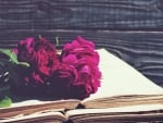 Book and Peony