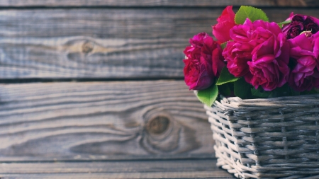 Beautiful Peony - peony, wood, basket, flowers