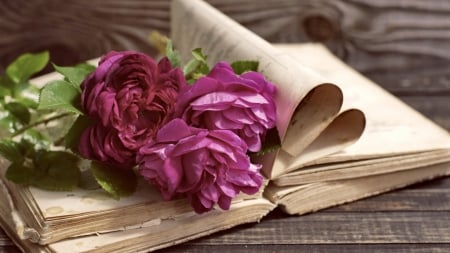 Beautiful Peony - peony, wood, flowers, book