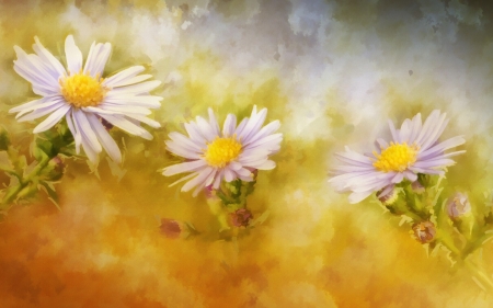 Beautiful Flowers - art, flowers, bloom, petals