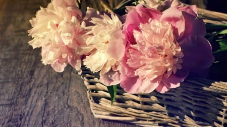 Basket of Peonies - flowers, peonies, basket, wood