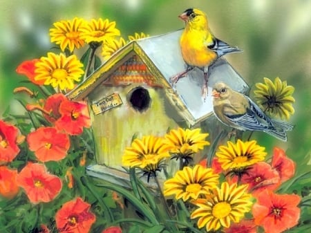 Two Dot Road - birds, summer, paintings, goldfinch, spring, birdhouse, flowers, nature, beloved valentines, goldfinches, love four seasons, animals