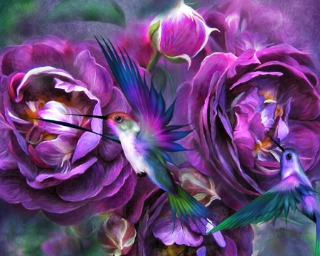 A rose named violette - humming-bird, carol cavalaris, colibri, trandafir, violette, flower, pictura, purple, painting, rose, art, luminos