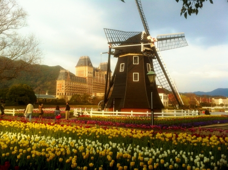 Huis Ten Bosch, Japan - building, tulips, windmill, field, spring