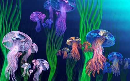 jellyfish - animals, cool, fish, fun, jellyfish, ocean