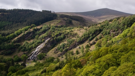 wild forests - fun, nature, field, mountains, cool