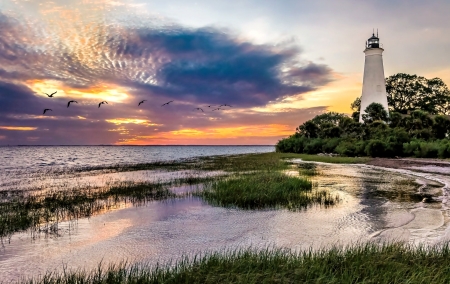 Colorful Sky - Tree, Nature, Sea, Sky