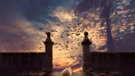 Cat Dreams - fantasy, animals, sky, cat