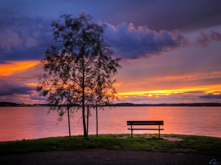 Bench by the Lake - nature, lake, trees, clouds, bench, sunset