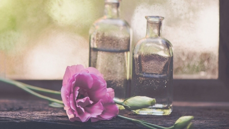 Still Life - flowers, still life, wood, bottles