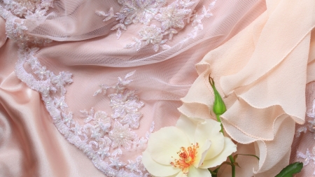 Beautiful Flower - cloth, lace, flowers, petals