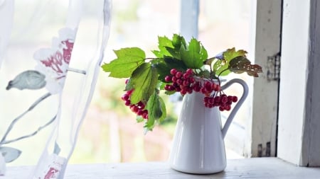 Still Life - window, fruits, still life, container