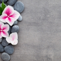 Beautiful Flowers