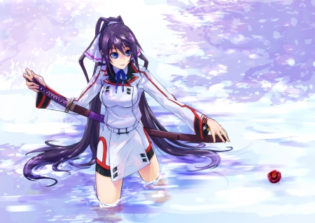 Houki Shinonono (IS: Infinite Stratos) - Clubs 