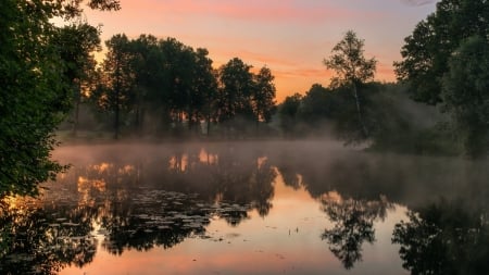 Lake Reflection - lake, trees, nature, reflection