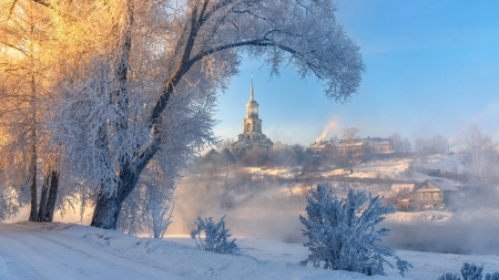 Winter Morning - snow, winter, nature, tree