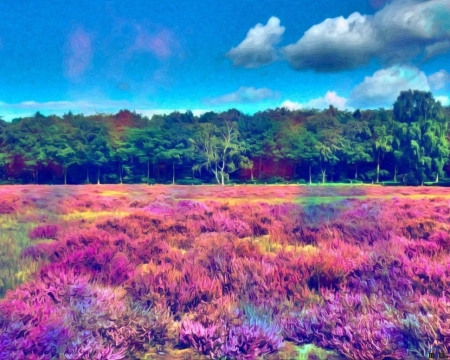 Colorful Field Near the Forest